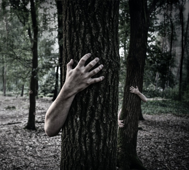  Survivre aux zombies 