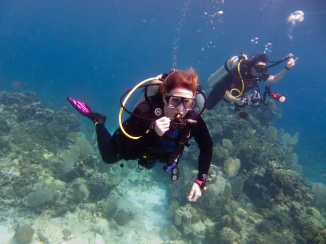  Consigue tu certificado de buceo