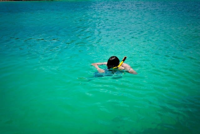  探索水下 