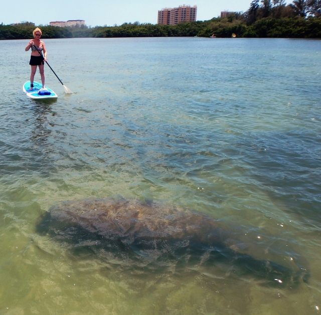 Stand-Up-Paddleboarding in Antrim 