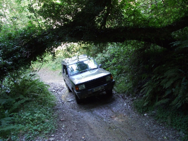  Viaggia sotto gli alberi 