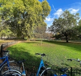 Morning Classic Bike Tour in London (18yrs+) 3.5h