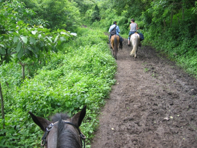  Horse Trekking 