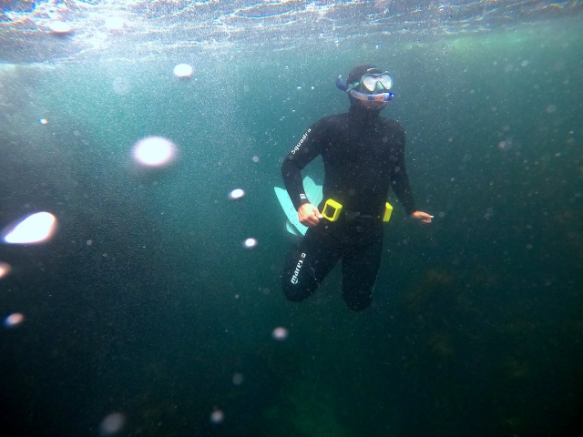 Freediving training session