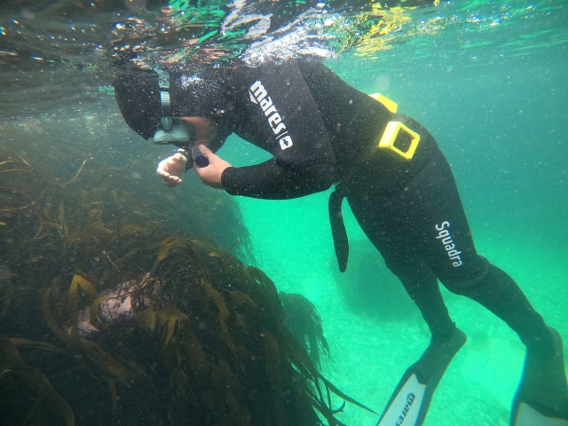  Unter Wasser erkunden