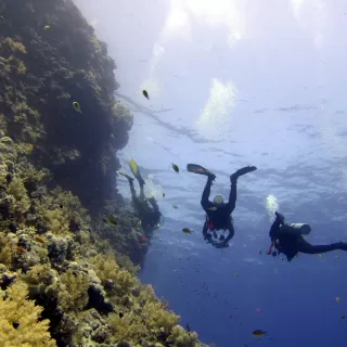 Cours PADI Open Water Diver (12+) Dudley 5-7 jours
