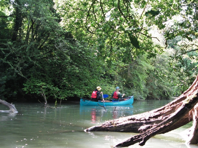  Andar en canoa por el río 