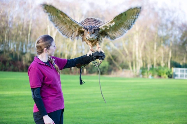 Our birds are really friendly