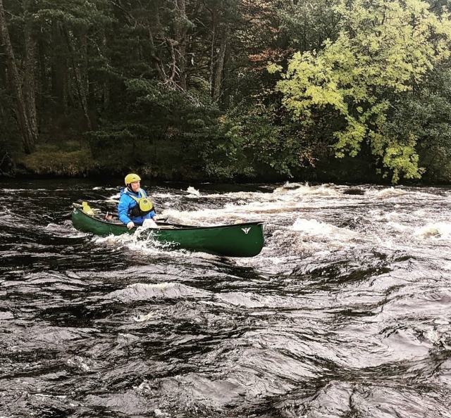 Exciting paddle