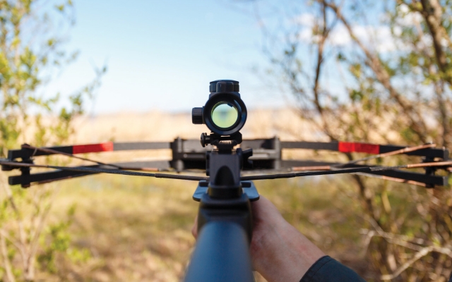  Targets de meta de besta em Ramsey