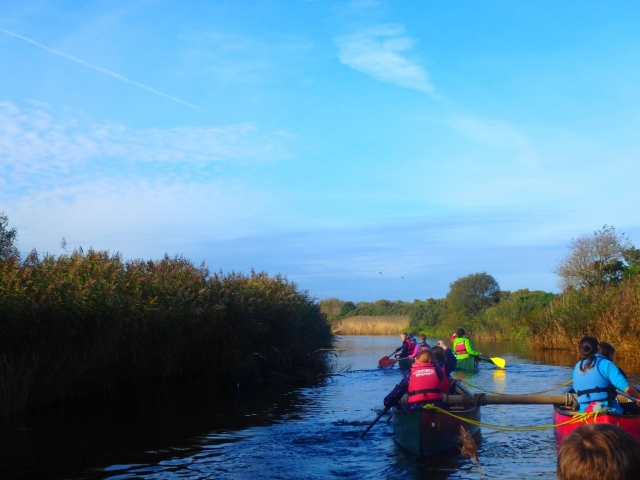 Learning to paddle