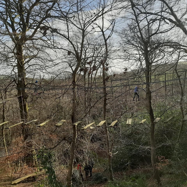 Parcours d'accrobranche sur l'île de Man 