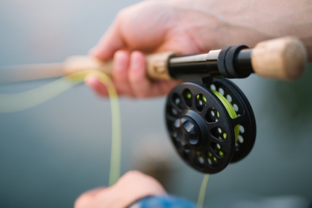 Learn to fly fish