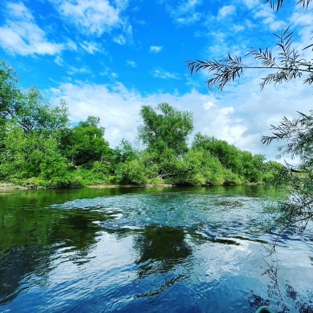  Goditi la serenità del fiume 