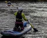 Loch Insh 青少年半日 SUP 介绍（6-16 岁）