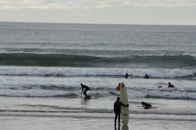 Surfs up!