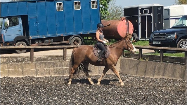  Aprende a montar a caballo 