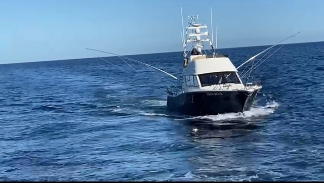 Fun sea adventure