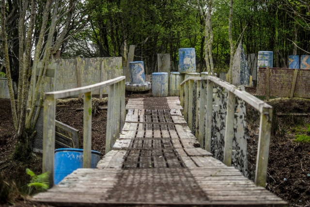  Ponte nel bosco 