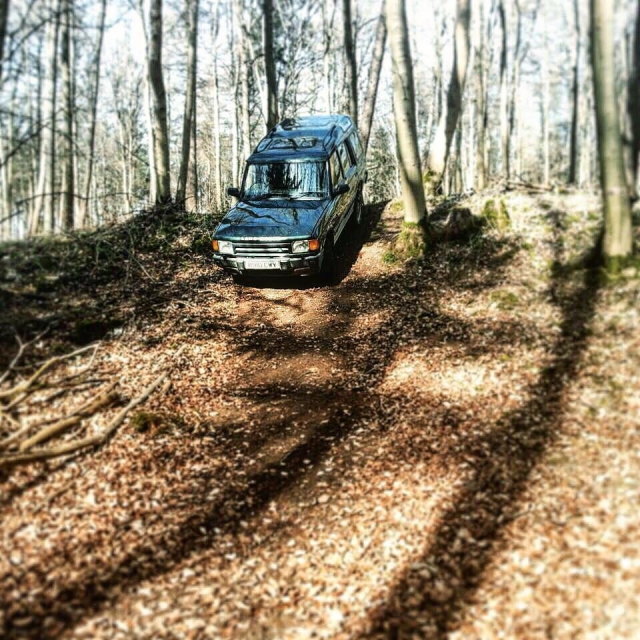  Den Wald erkunden 