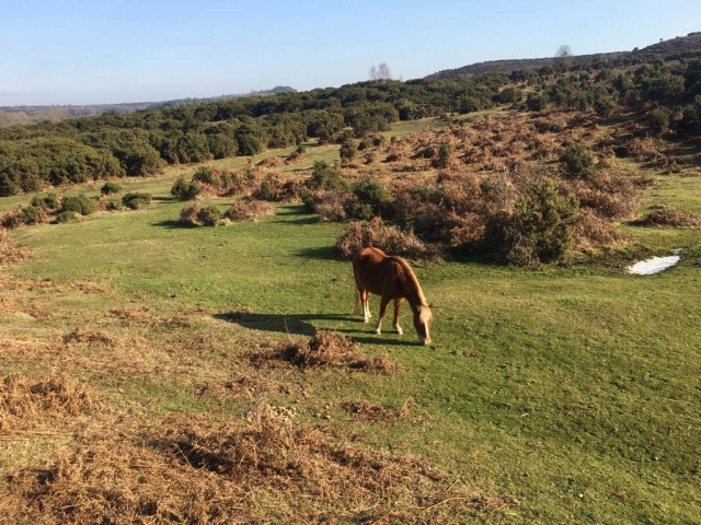  Pace e tranquillità