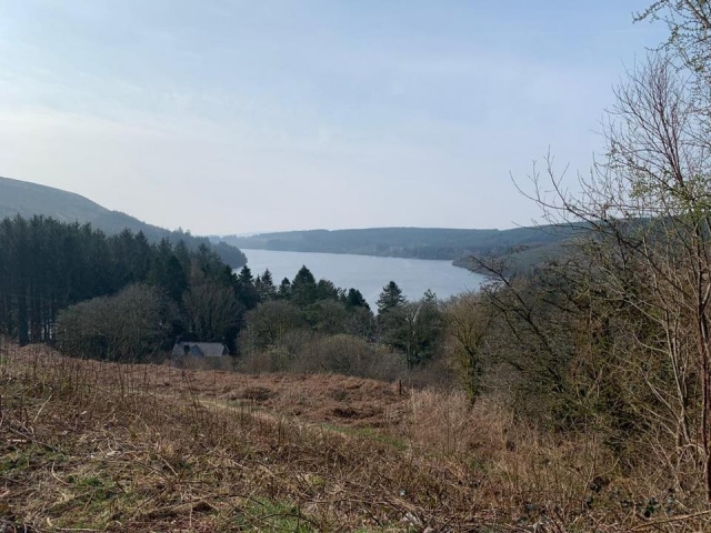 Passeggiate in collina in Galles 