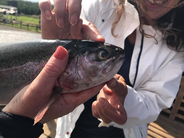  Pesca a mosca alla trota 