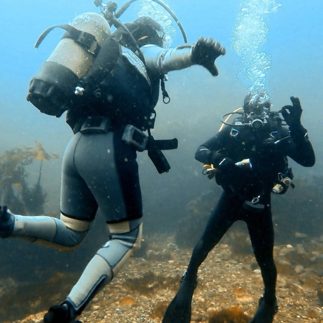  Plongée sous-marine PADI 