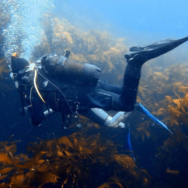  Aventuras de buceo