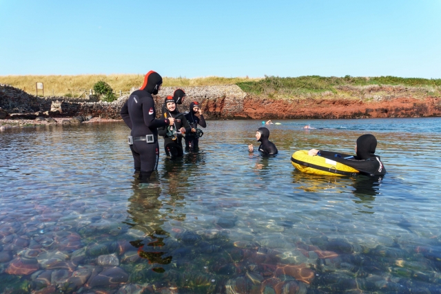  Instrução de snorkel especialista - 999 - Perfeito para crianças 