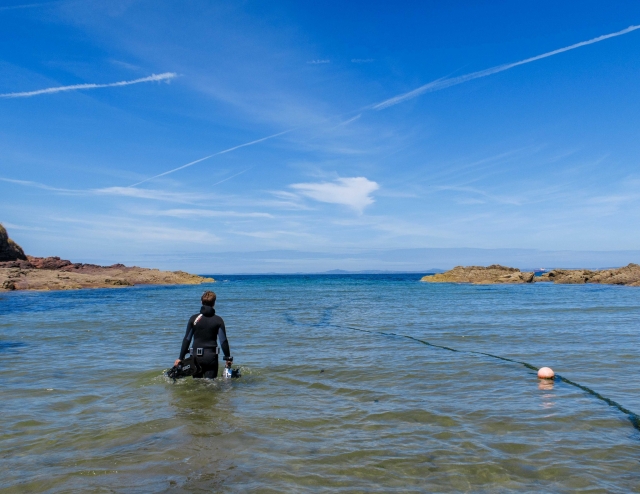 Interaja com a costa de Pembrokeshire 