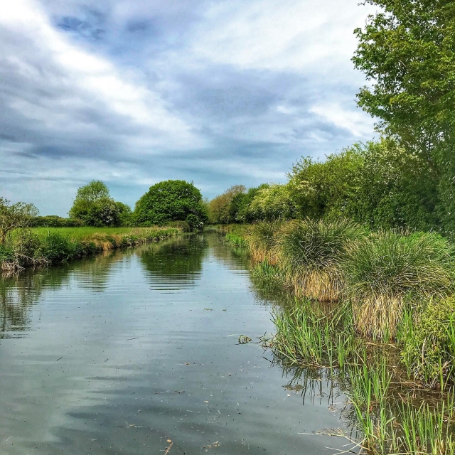  Canale di Basingstoke 