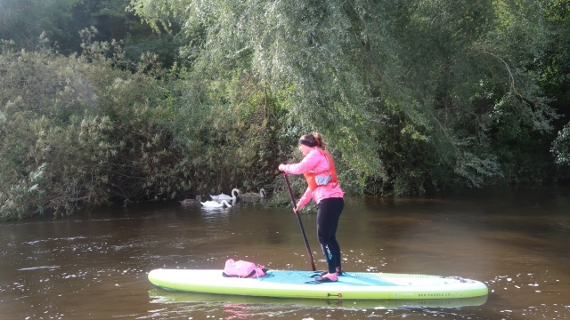  Paddleboarding en el río Leam