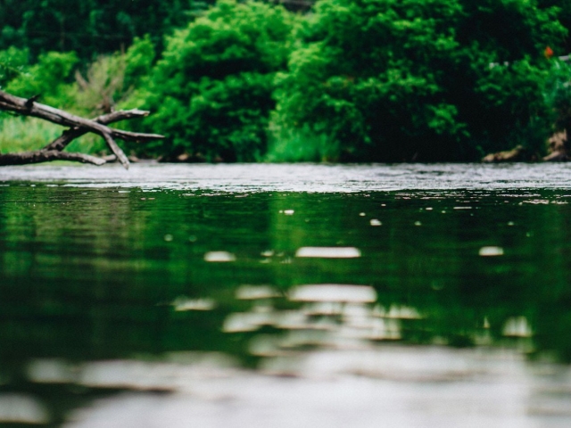  Lâchez prise sur la rivière Soar 