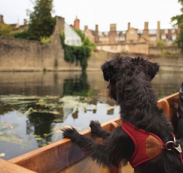 Tour privati in barca a Cambridge 
