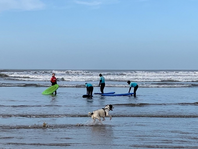  Pacchetto lezioni di surf