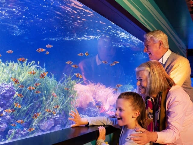 Family day at the aquarium