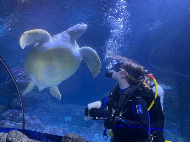  了解海洋生物学