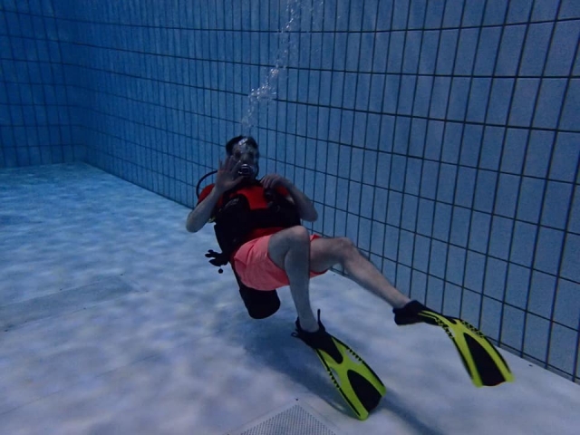  Buceo in situ 