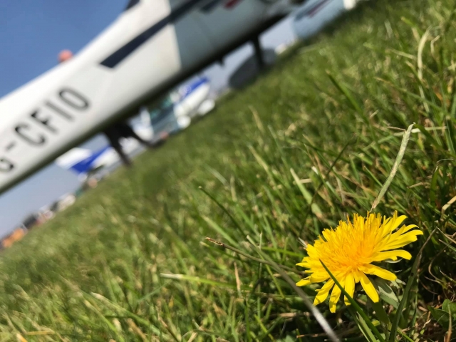 École de pilotage à l'aéroport de Rochester