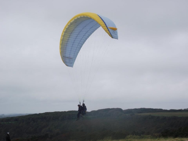 Fly like a bird