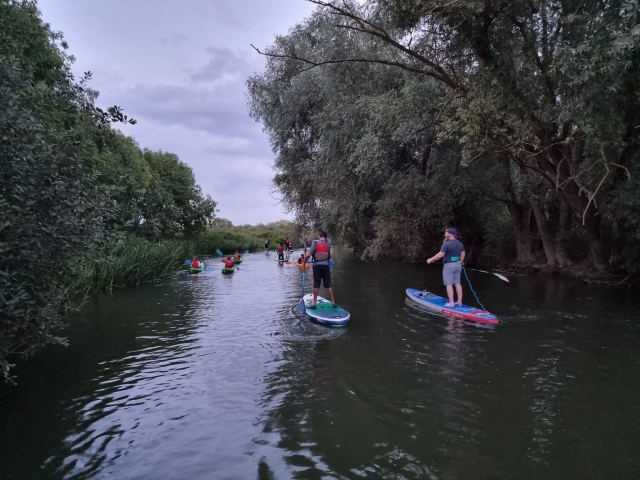  Paddleboarding à Bedford