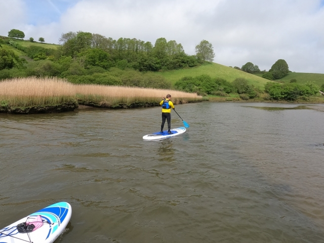  Visite de la rivière en paddleboards 
