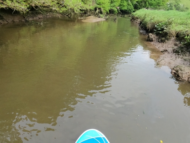 River SUP in Cornwall