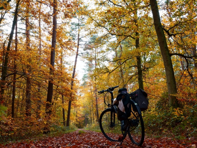  2 giorni di ciclismo 