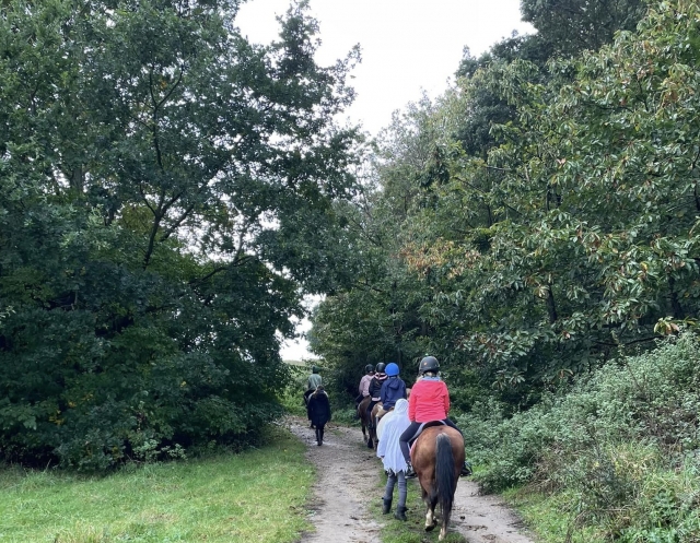  Paseo a caballo en grupo 