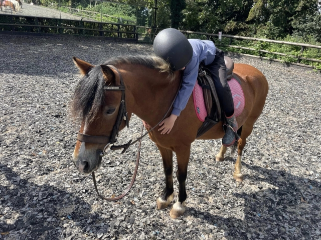  Viel Spaß auf dem Pferd 