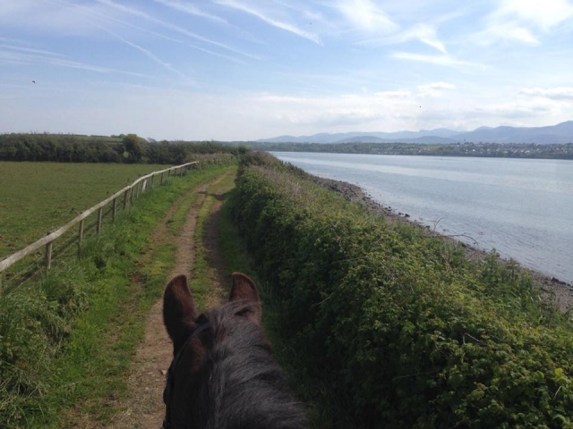 Lead rein ride