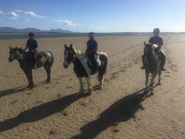  Reiten für erfahrene Teilnehmer