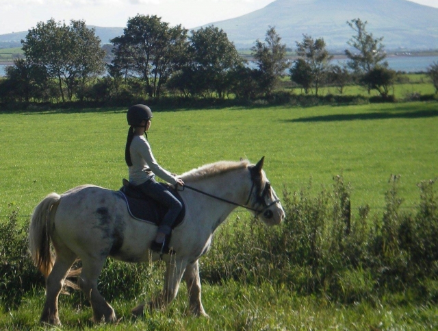 Bridleways and horse riding routes